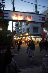 _DSC0328_DxO_DxO