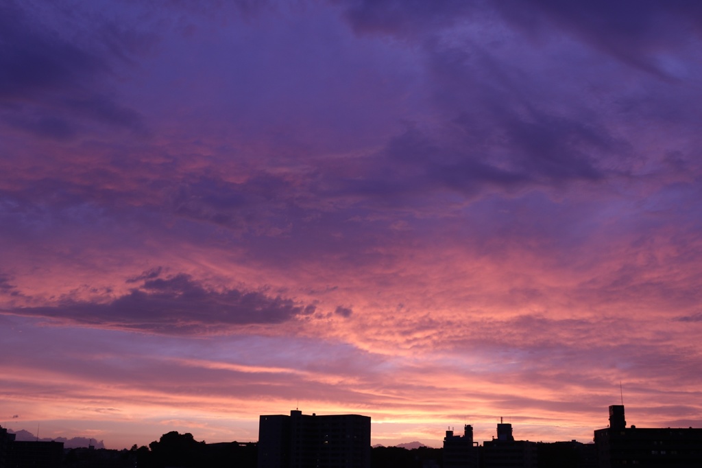 夕景