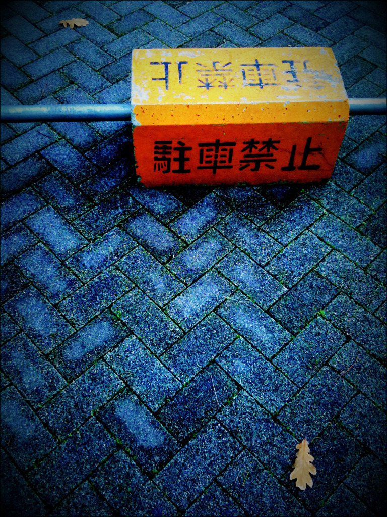 駐車禁止