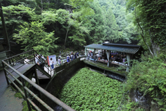 浄蓮の滝茶屋