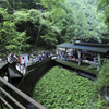 浄蓮の滝茶屋