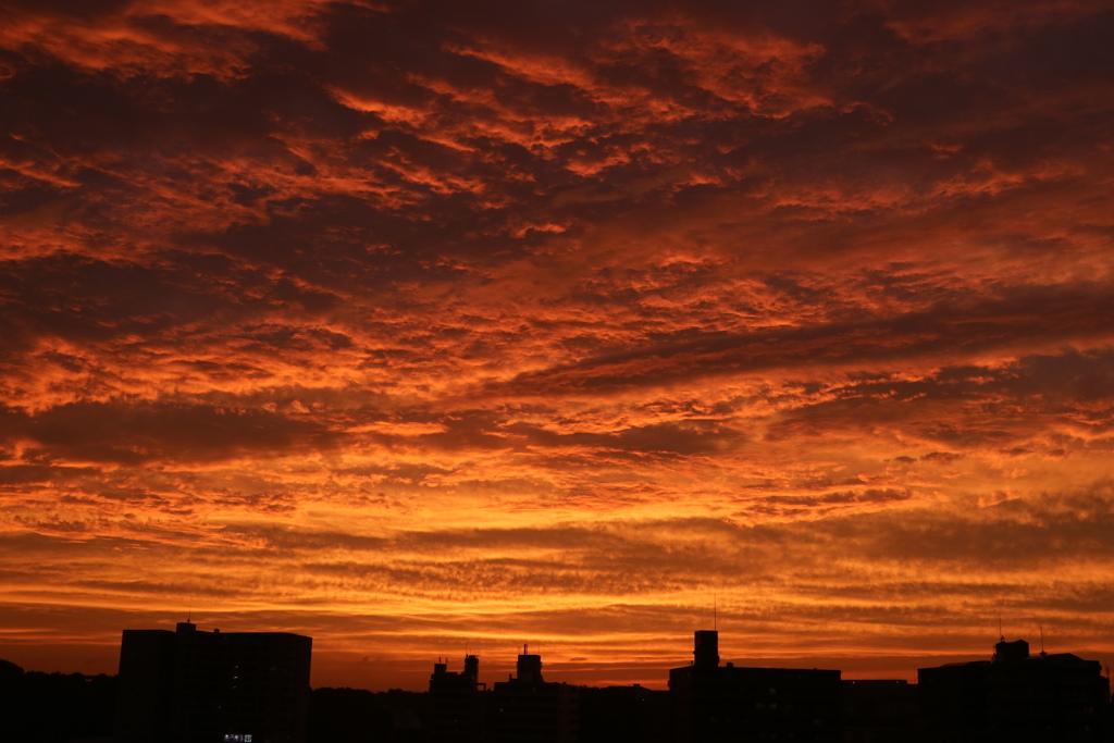夕景