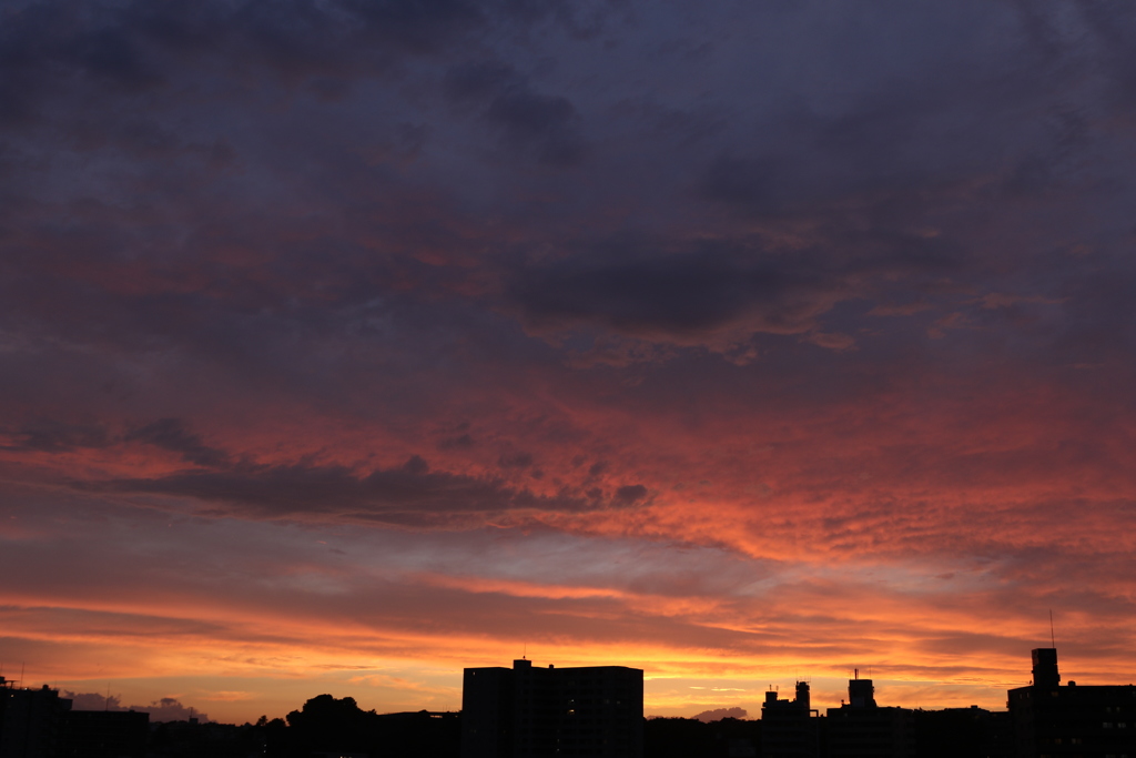 夕景