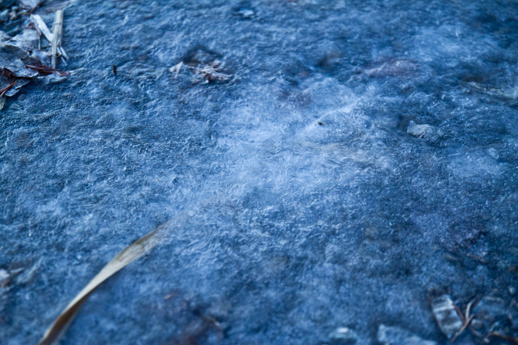 -8℃の証