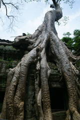 Siam Reap / DSC03655