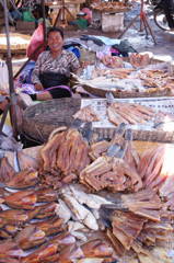 Siam Reap / DSC04064