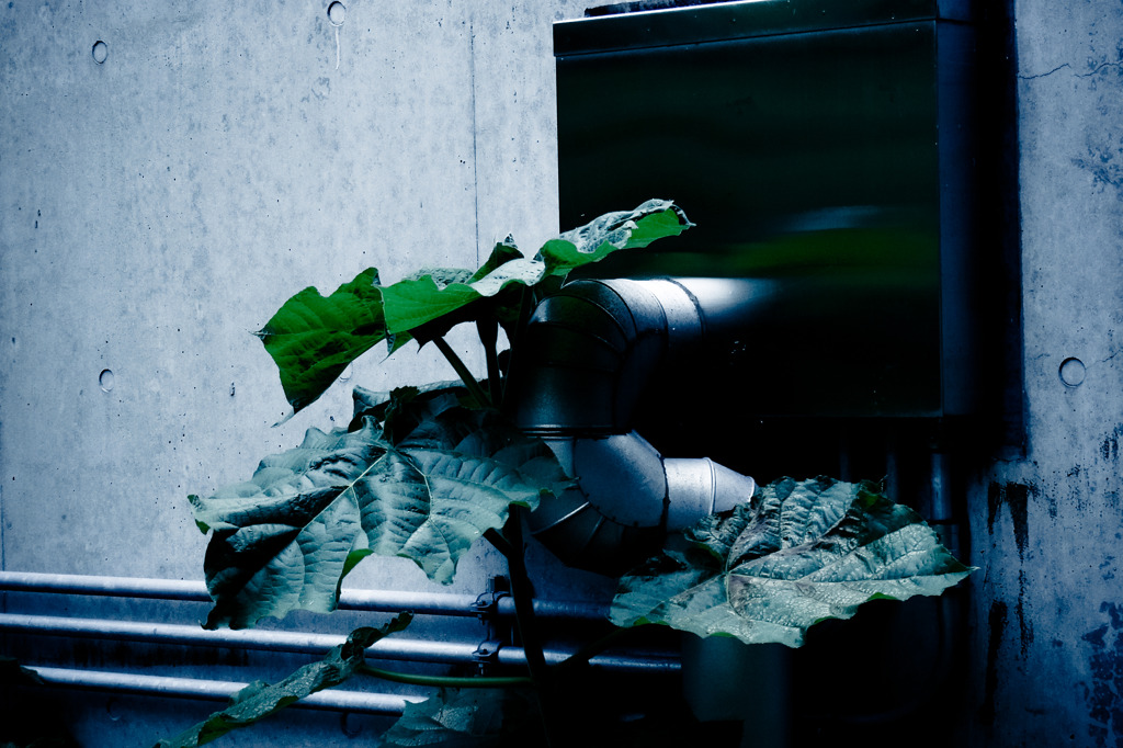 A certain scenery054