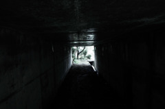 Sight on rainy day_028