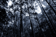 A certain scenery037