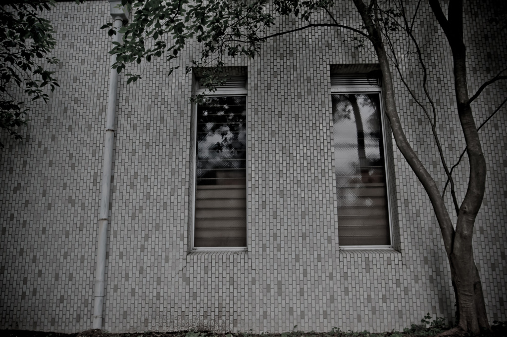 A certain scenery0141