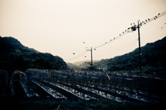 A certain scenery012