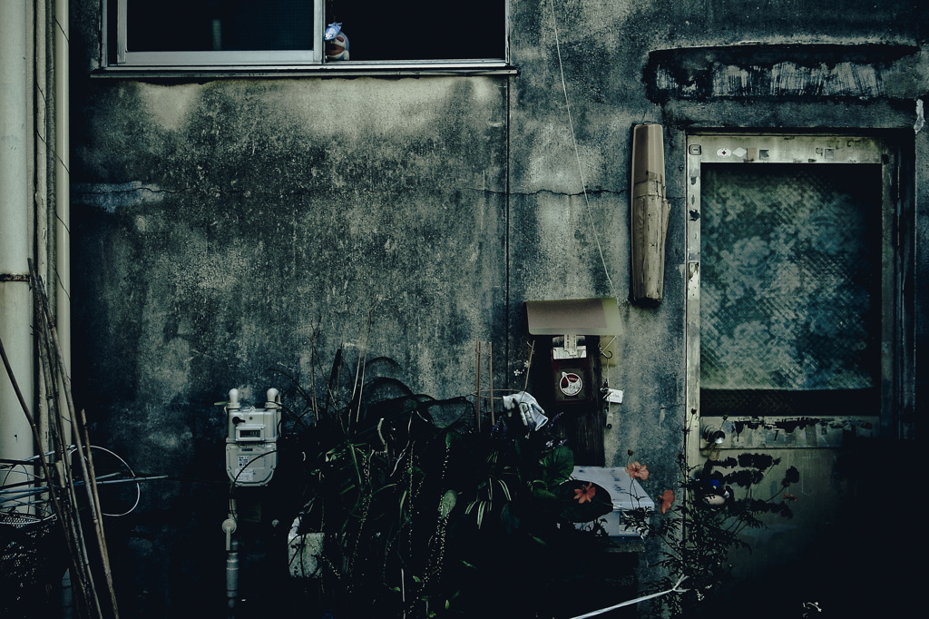 A certain scenery0183