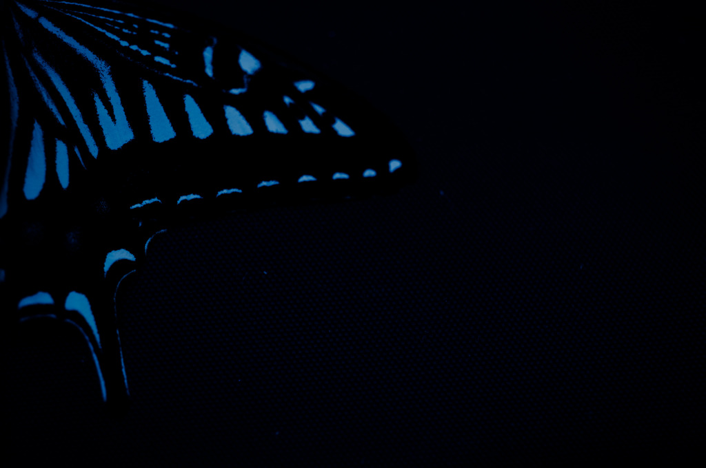 A certain scenery0155