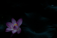 Exprolation:00041