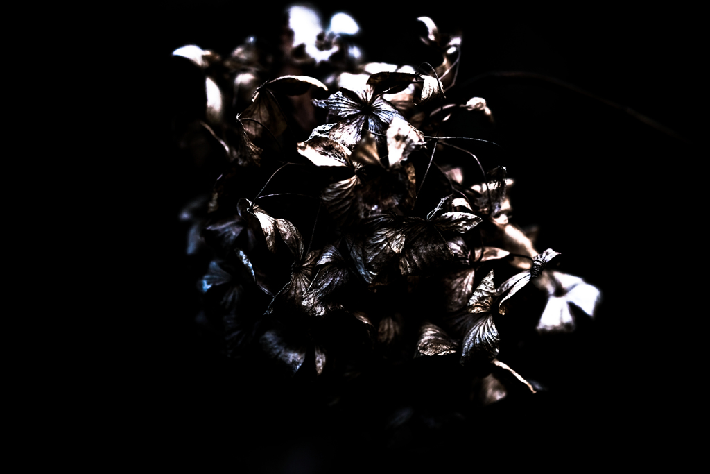 Exprolation:00135