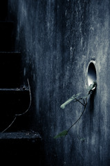 A certain scenery061