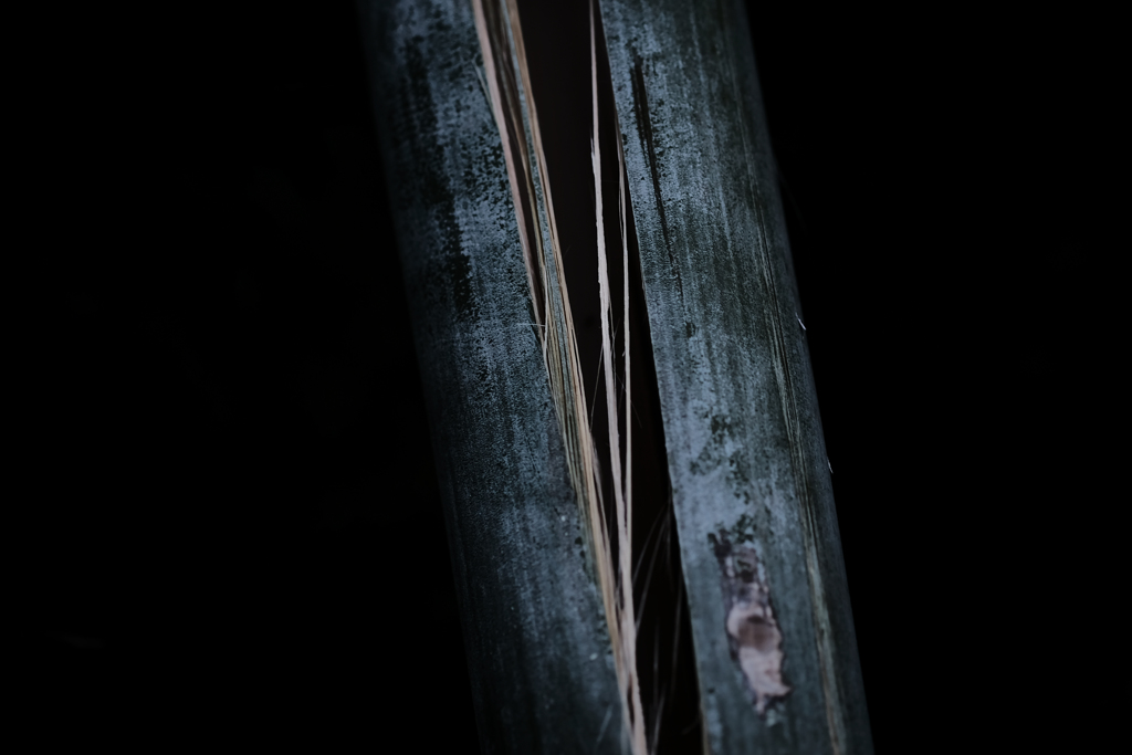 Exprolation:00133