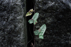 Sight on rainy day_011
