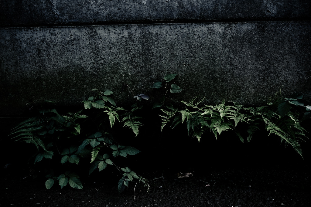 A certain scenery0119