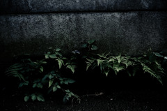 A certain scenery0119