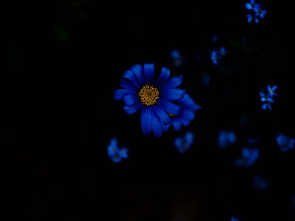 #69