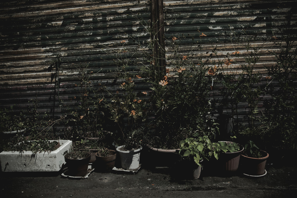 A certain scenery0179