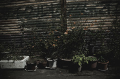 A certain scenery0179
