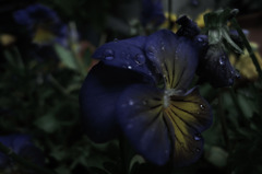 Sight on rainy day_023