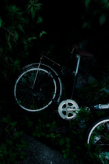 A certain scenery0161