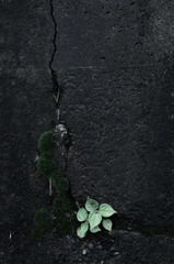 Sight on rainy day_031