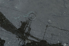 Sight on rainy day_003
