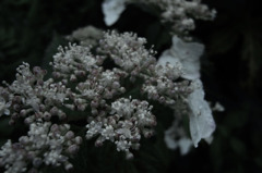 Sight on rainy day_021