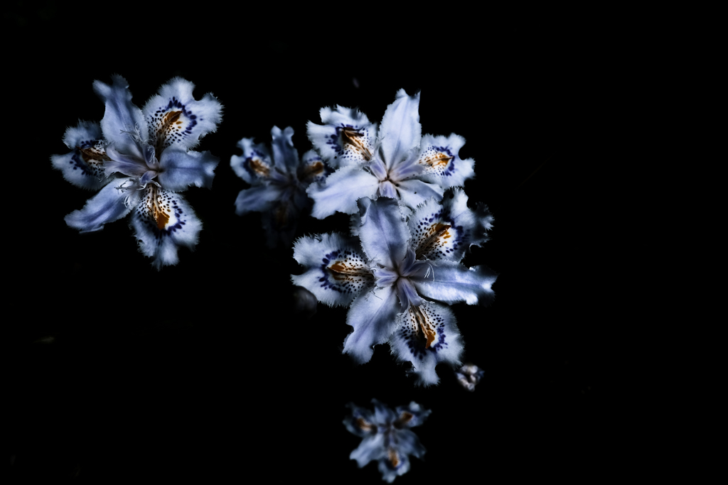 Exprolation:00096