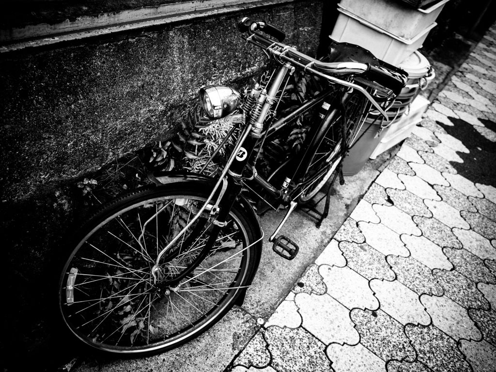 Exprolation:00036