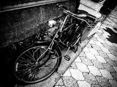 Exprolation:00036