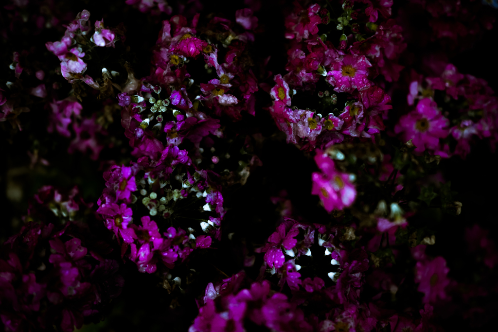 Exprolation:00066