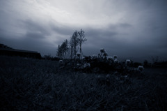 A certain scenery01