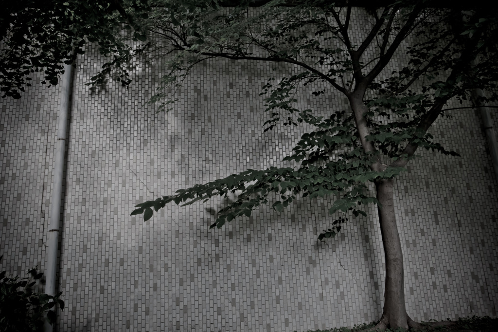 A certain scenery0140