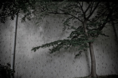 A certain scenery0140