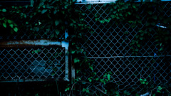 寝苦しい夜に見た夢　四拾弐