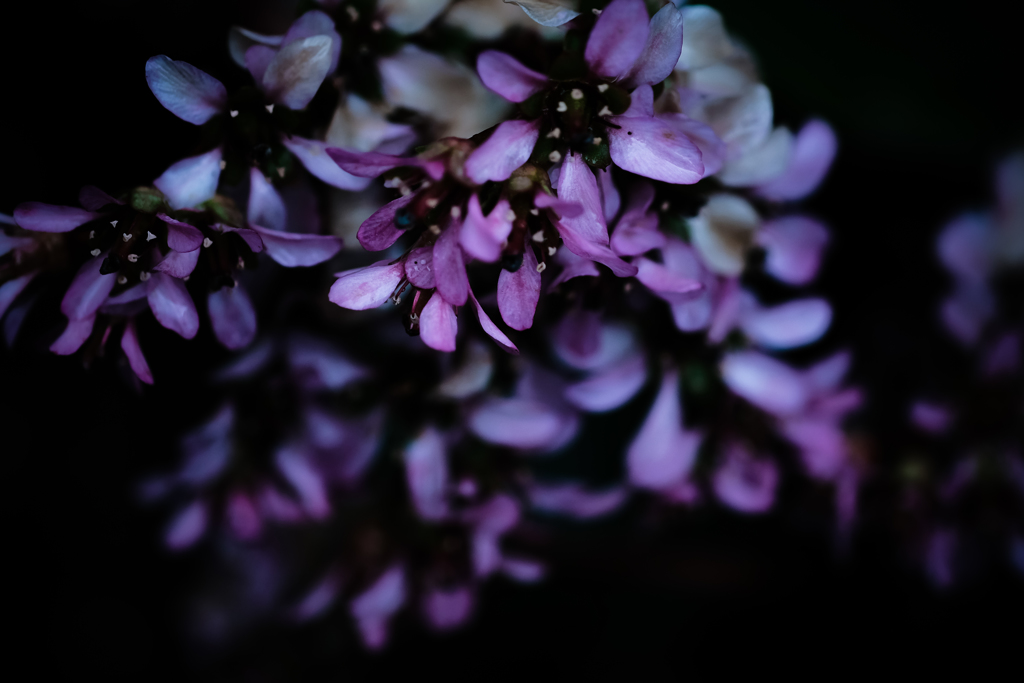 Exprolation:00067