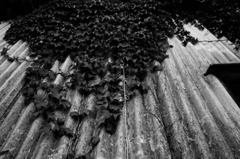 A certain scenery0137