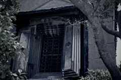 A certain scenery099