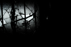 A certain scenery030