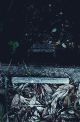 A certain scenery0168