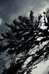 A certain scenery055