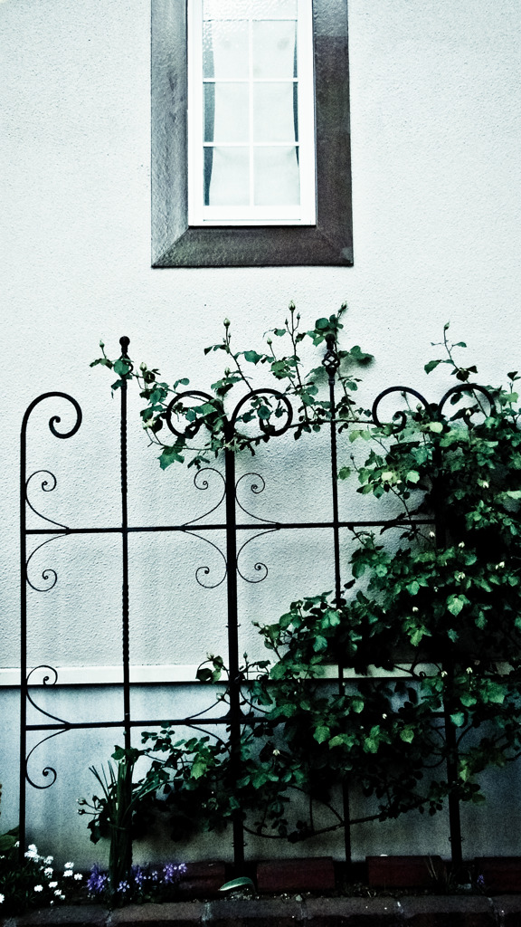 A certain scenery0133