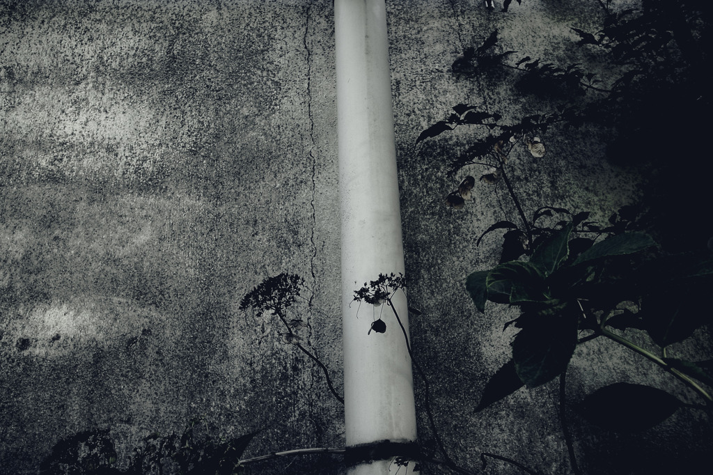 A certain scenery0182
