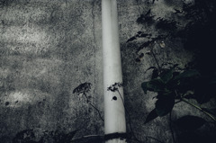A certain scenery0182