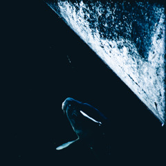 A certain scenery0167